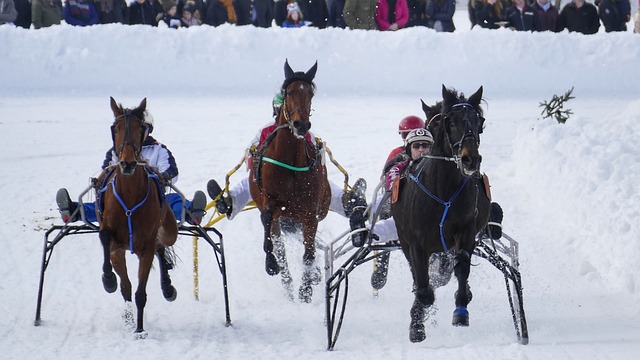 加拉格尔：会留队帮马竞夺冠，要达到图赫尔的标准很难